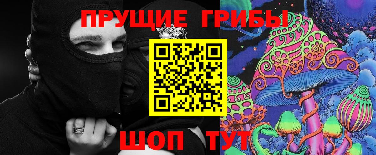 Валуйки  Галлюциногенные грибы прущие грибы  Вход с VPN 
